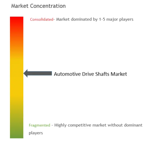 Automotive Software Market Concentration